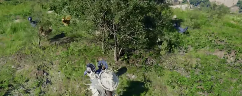 《红色沙漠》瞄准命运的弦任务攻略