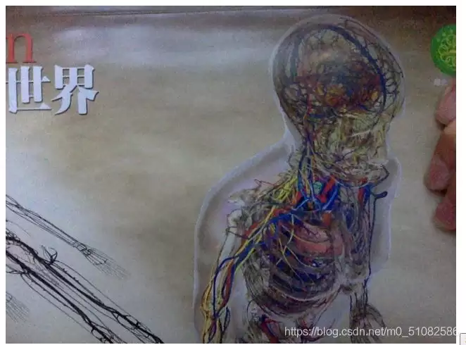 在HTML里加载摄像头的方法