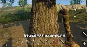 失控进化开局怎么发育