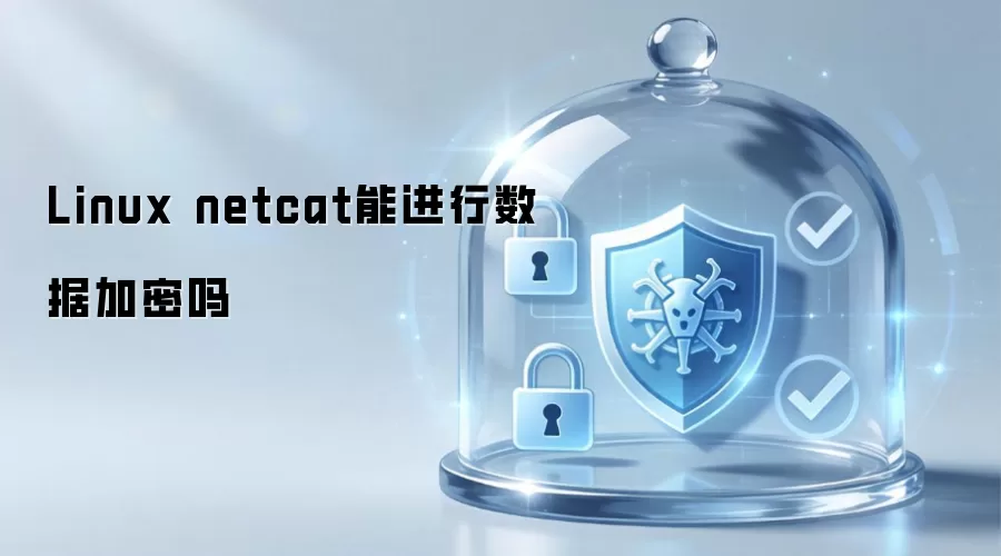 Linux netcat能进行数据加密吗