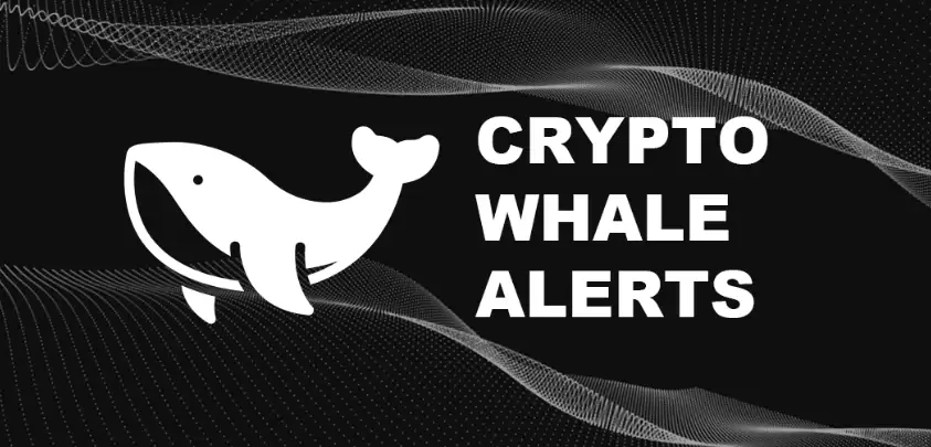 盘点十大高效实用的数字货币投资辅助工具