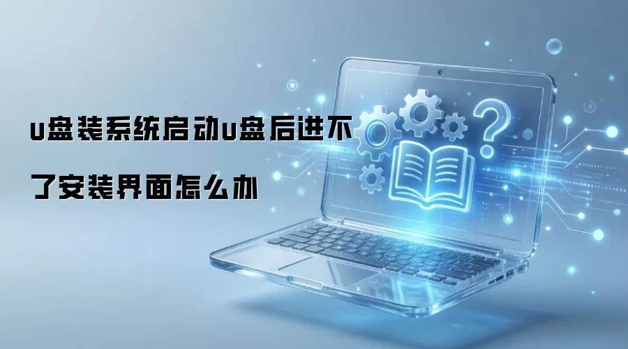 u盘装系统启动u盘后进不了安装界面怎么办