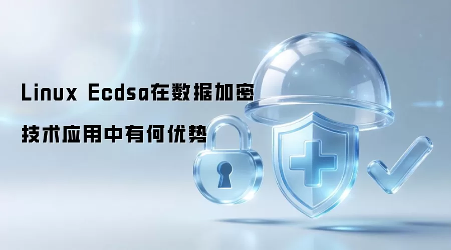Linux Ecdsa在数据加密技术应用中有何优势