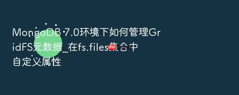 MongoDB 7.0环境下如何管理GridFS元数据_在fs.files集合中自定义属性