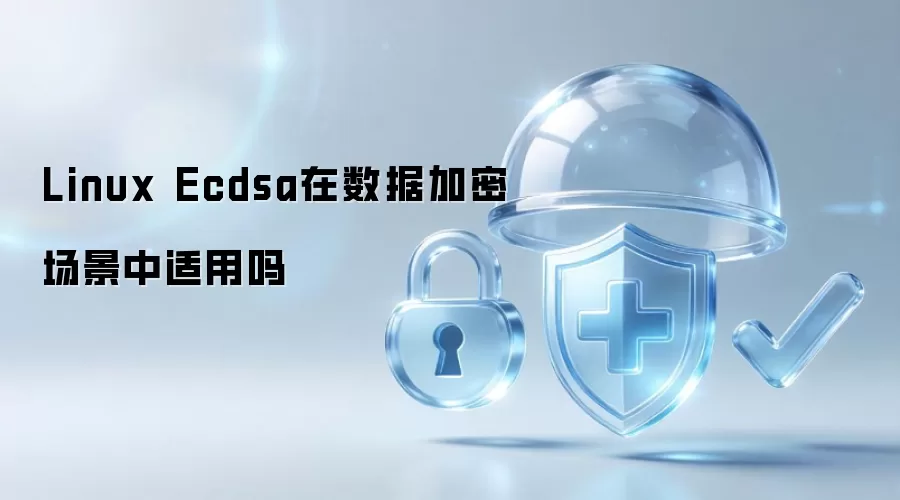 Linux Ecdsa在数据加密场景中适用吗