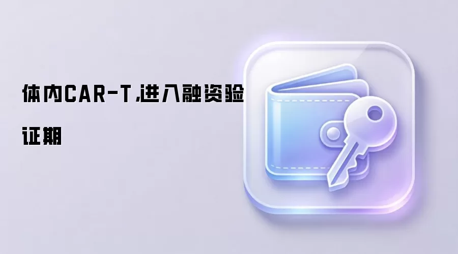 体内CAR-T，进入融资验证期