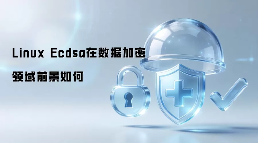 Linux Ecdsa在数据加密领域前景如何