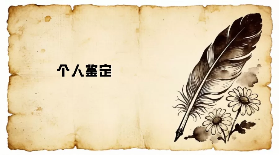 个人鉴定