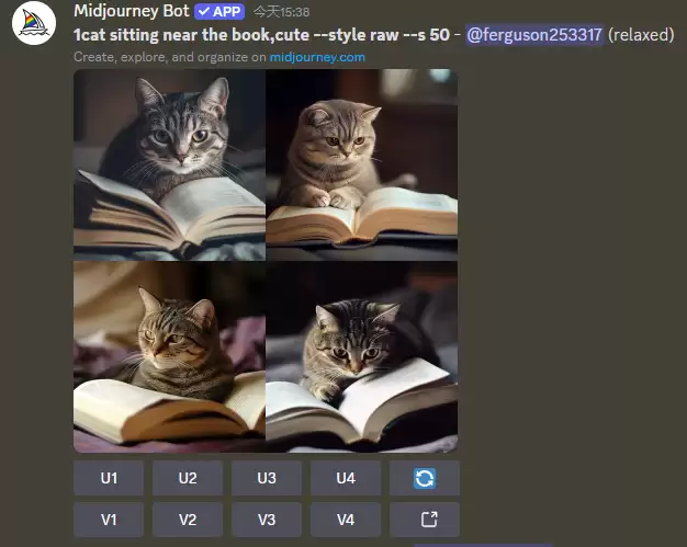 midjourney怎么用？Midjourney前置指令 /settings 讲解