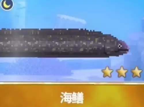 潜水员戴夫海鳝1