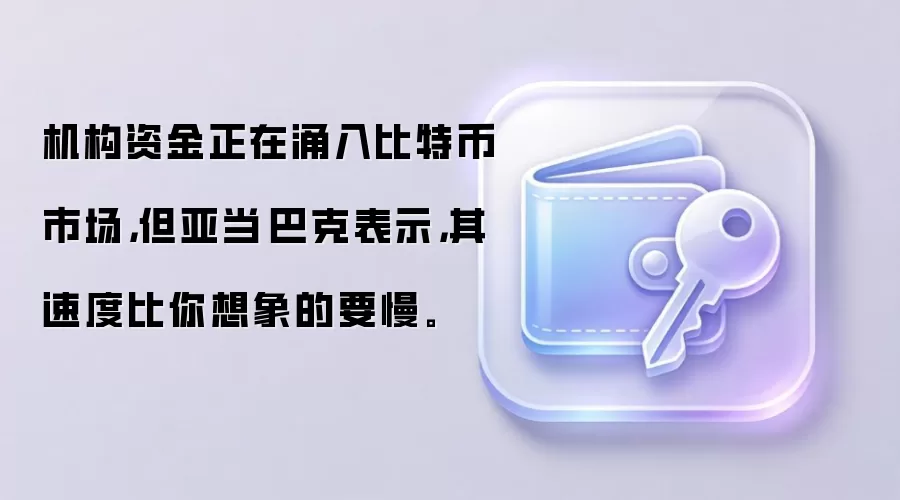 机构资金正在涌入比特币市场，但亚当·巴克表示，其速度比你想象的要慢。