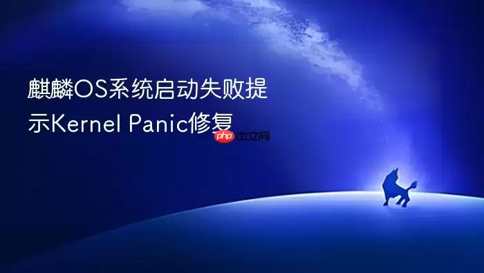 麒麟OS系统启动失败提示Kernel Panic修复