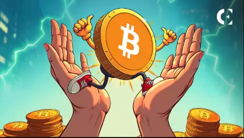 比特币实时行情免费查看app 比特币最新价格波动趋势 - php中文网