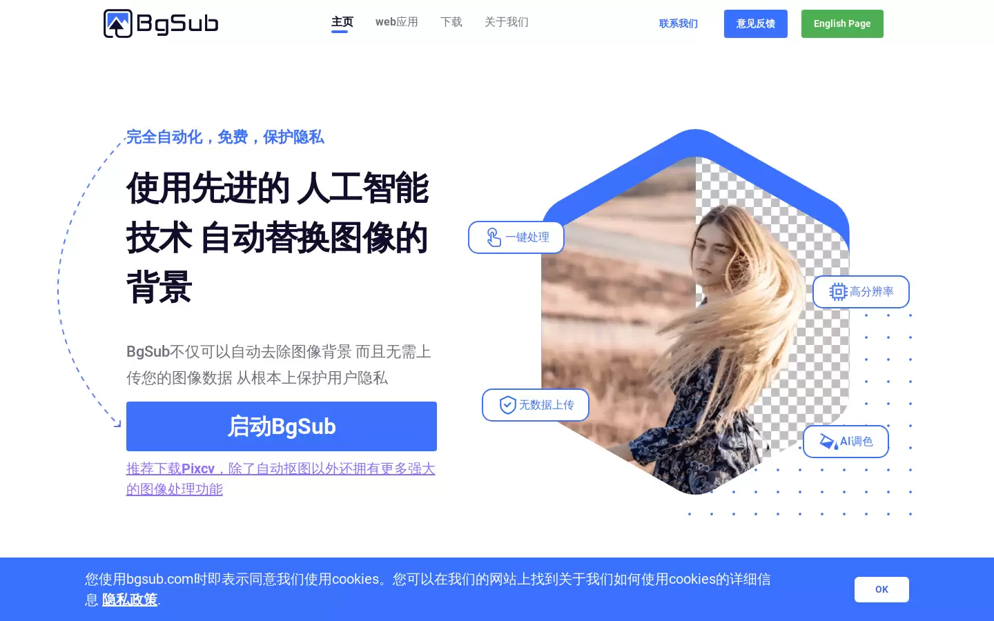 BgSub : 5 秒内消除或替换图像背景，无需上传图像