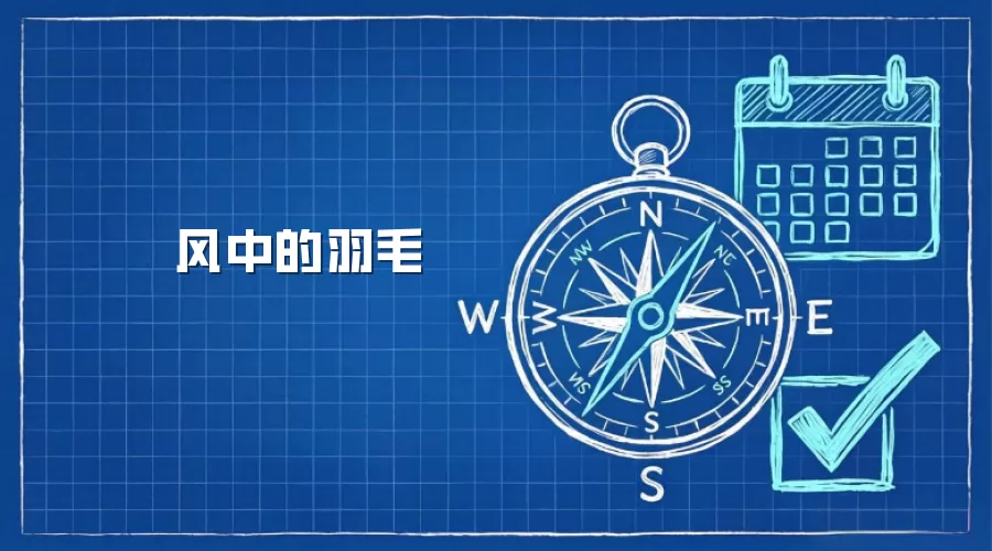 风中的羽毛