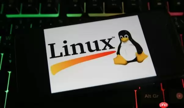 Linux怎么查看文件的逻辑大小与物理大小 Linux下du与ls差异详解