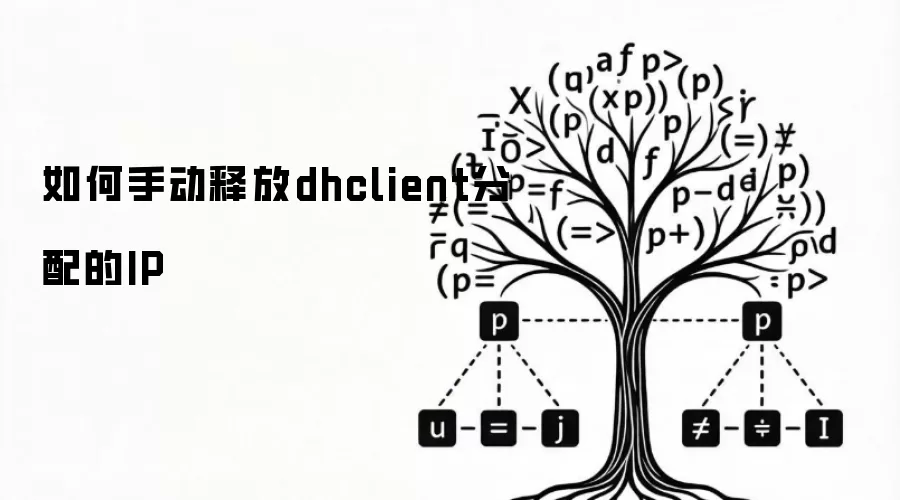 如何手动释放dhclient分配的IP