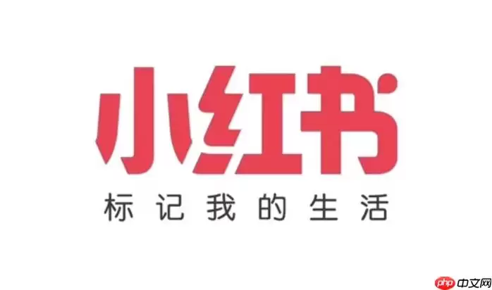 小红书官网登录网页版 小红书电脑版网页登录入口