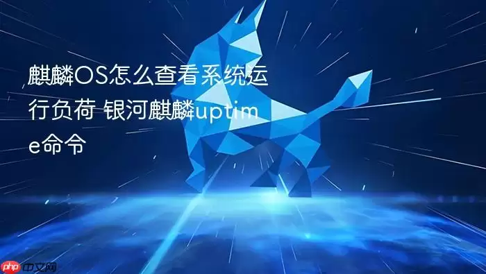 麒麟os怎么查看系统运行负荷 银河麒麟uptime命令