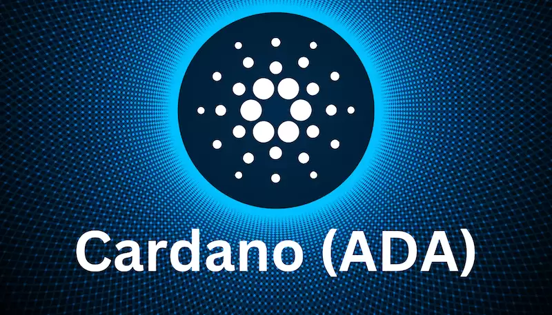 ADA对冲实战技巧，如何在币圈击败99%的人 - php中文网