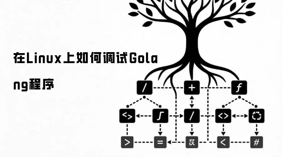 在Linux上如何调试Golang程序