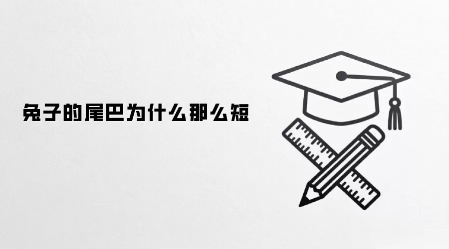 兔子的尾巴为什么那么短