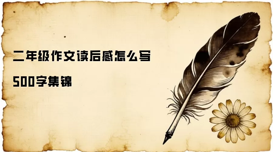 二年级作文读后感怎么写500字集锦
