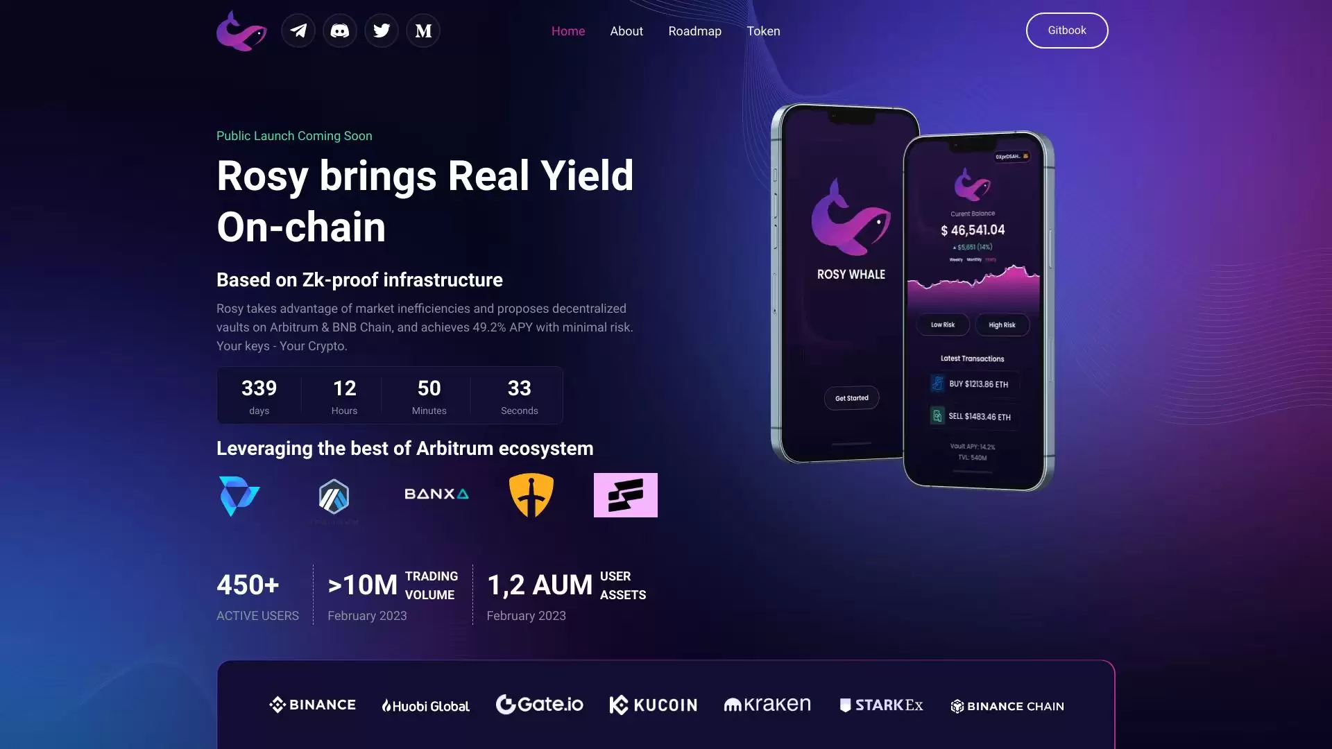 RosyWhale : 在Arbitrum上的DeFi策略