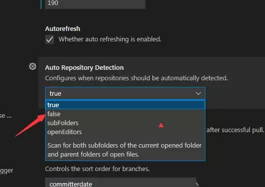 VSCode自动存储库检测怎么关闭