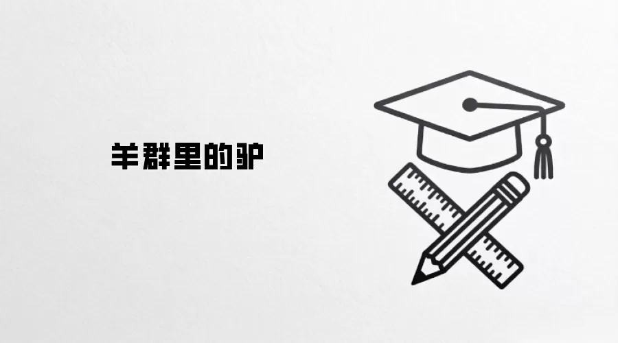 羊群里的驴