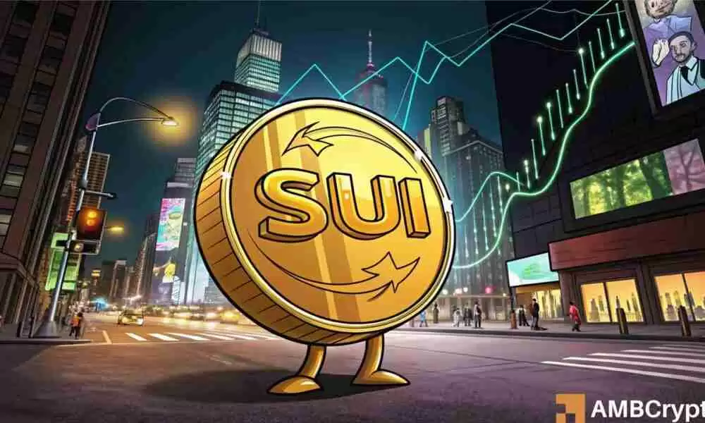 SUI 支持激增：乘风破浪还是面临灭顶之灾？