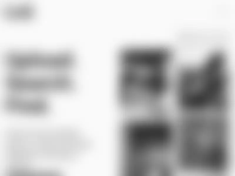 Loti : 上传照片找到泄露的私密照片和视频
