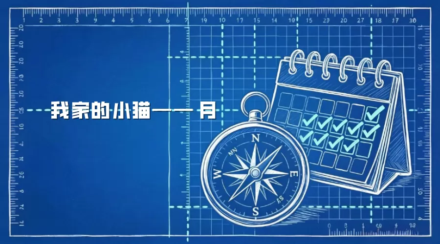 我家的小猫——玥月