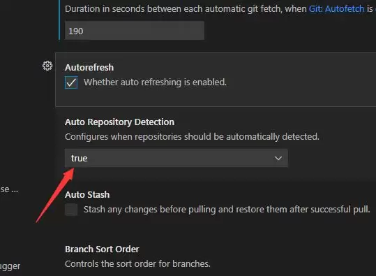 VSCode自动存储库检测怎么关闭