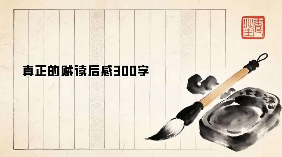 真正的贼读后感300字