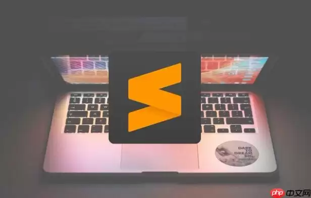 Sublime怎么清除所有中文字符 Sublime正则提取纯英文字符串【提取】