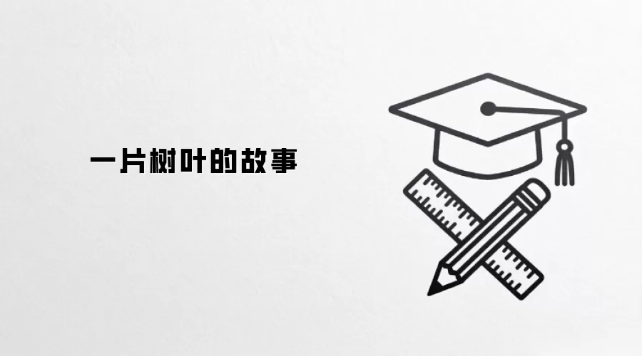 一片树叶的故事
