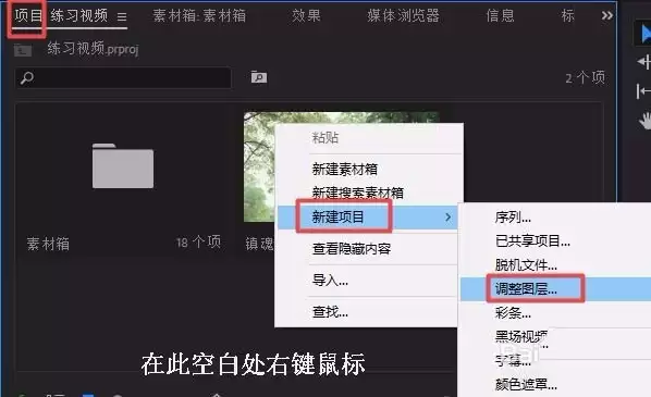 Premiere视频怎么制作一半黑白一半彩色效果
