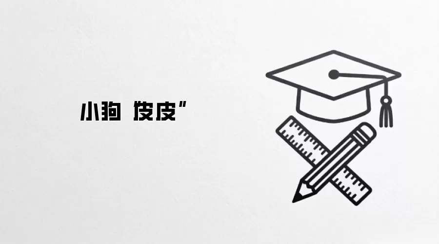 小狗“皮皮”