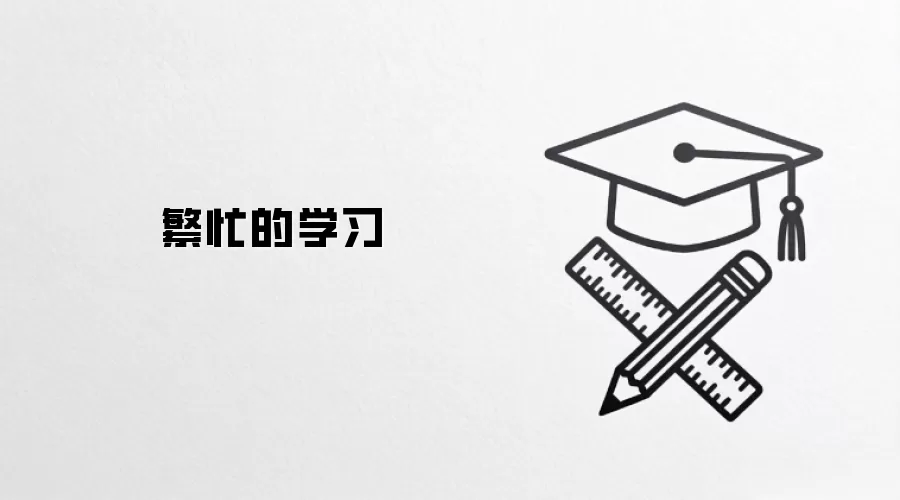繁忙的学习