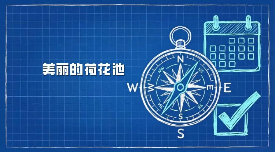 美丽的荷花池