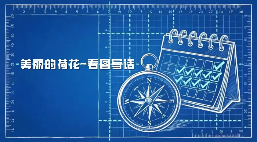 美丽的荷花-看图写话