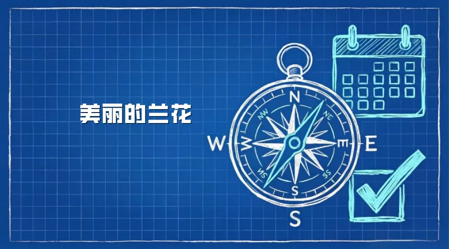 美丽的兰花