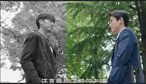 Premiere视频怎么制作一半黑白一半彩色效果