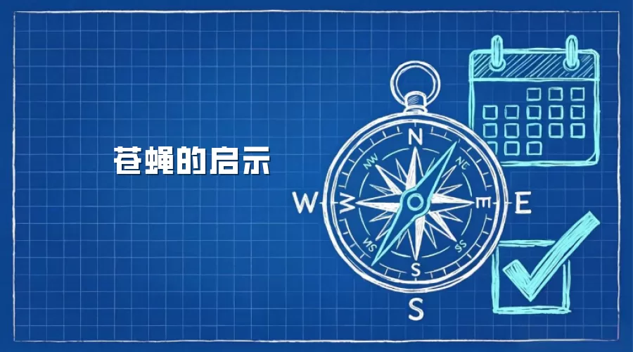 苍蝇的启示