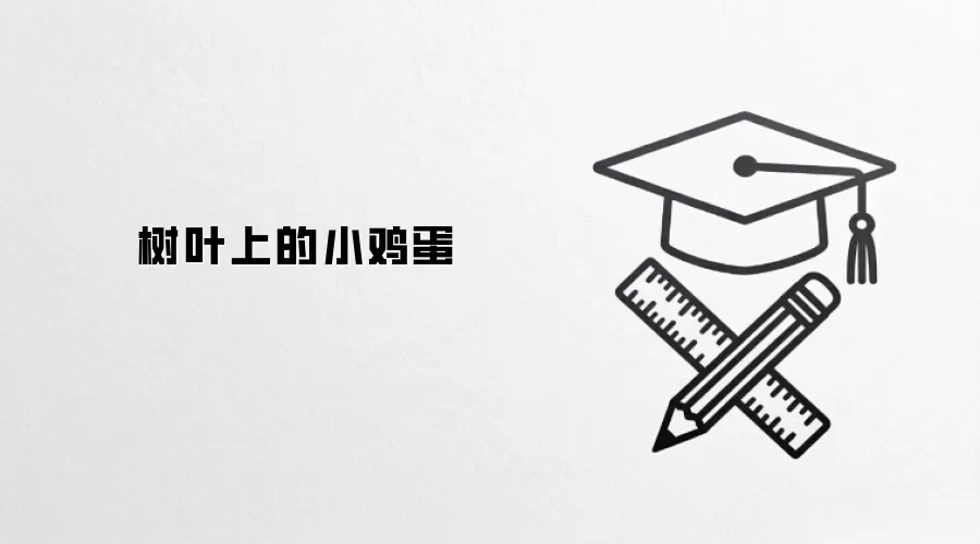 树叶上的小鸡蛋