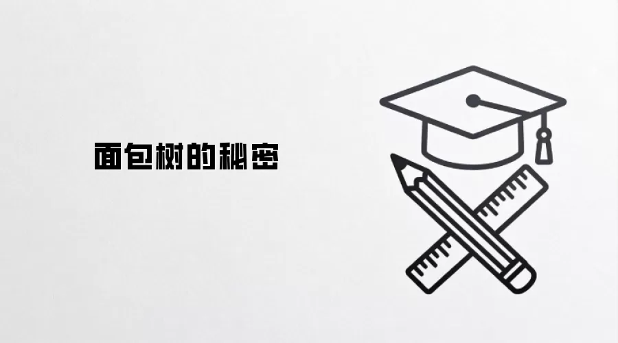 面包树的秘密