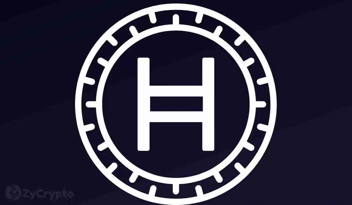 HBAR牛市强势推进：与XRP的对比及加密市场的乐观情绪