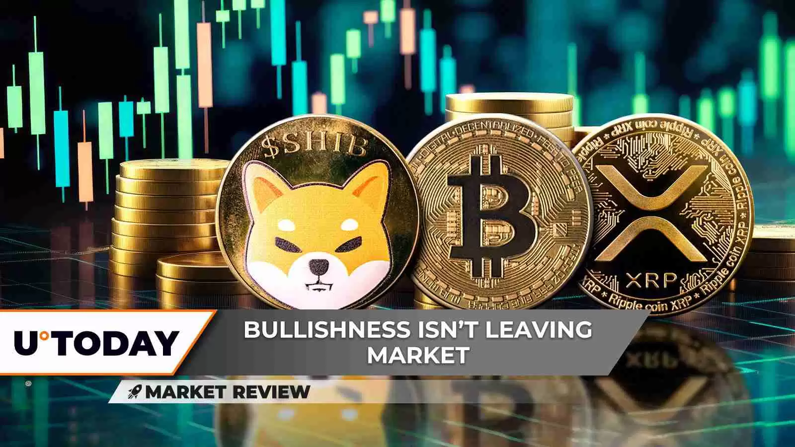 柴犬币、比特币价格、XRP前景：驾驭加密货币浪潮