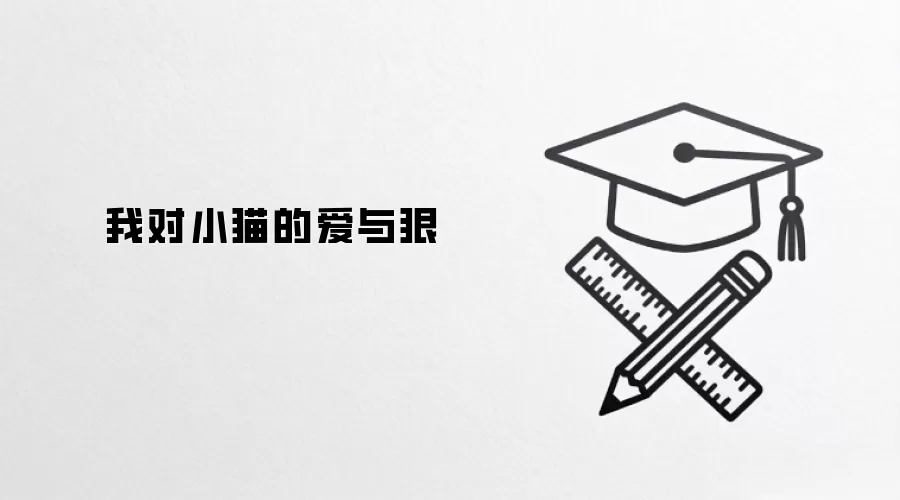 我对小猫的爱与狠